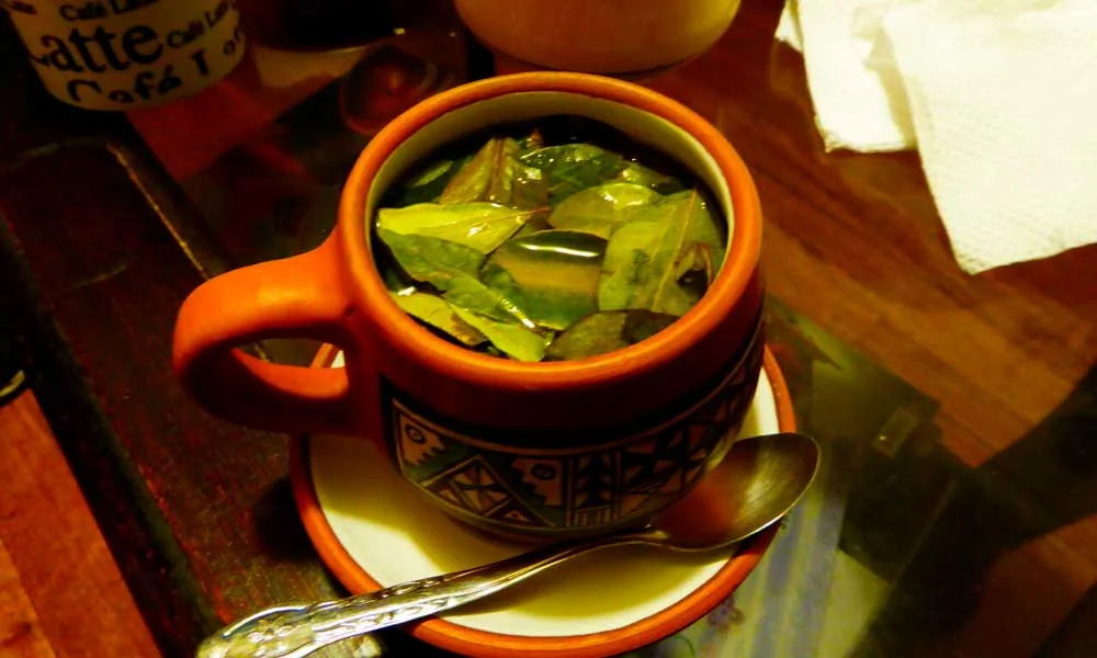 Mate de coca