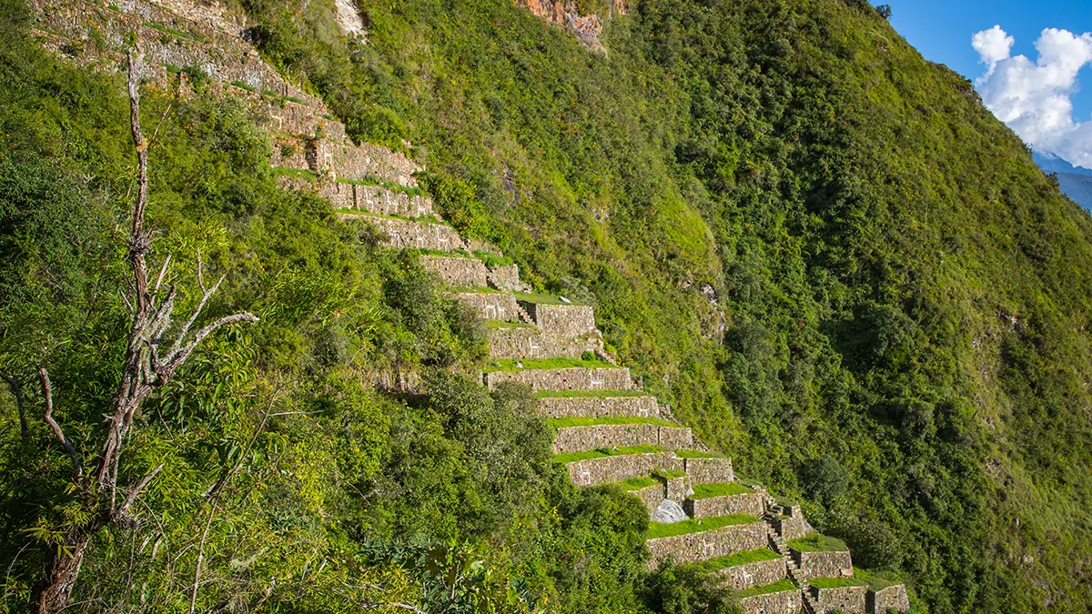 Archaeological terraces of Choquequirao