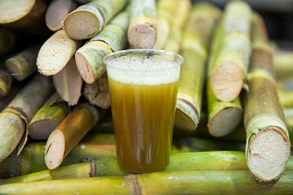 Sugar cane juice for cambray preparation