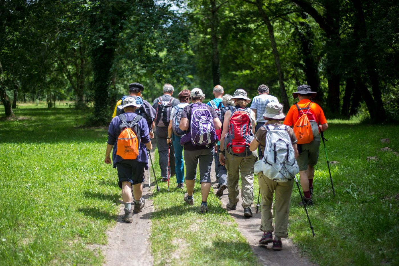 Familia haciendo senderismo por senderos señalizados