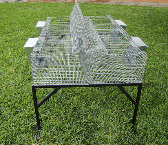 Spacious cage for guinea pig with accessories