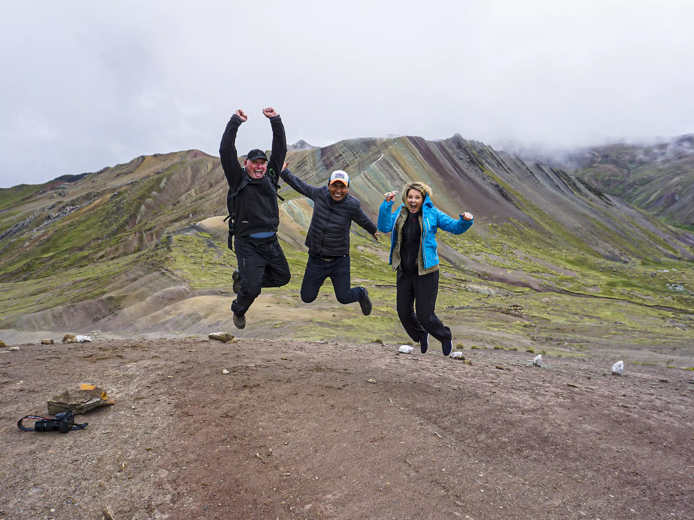Alpacas grazing in the colorful landscape