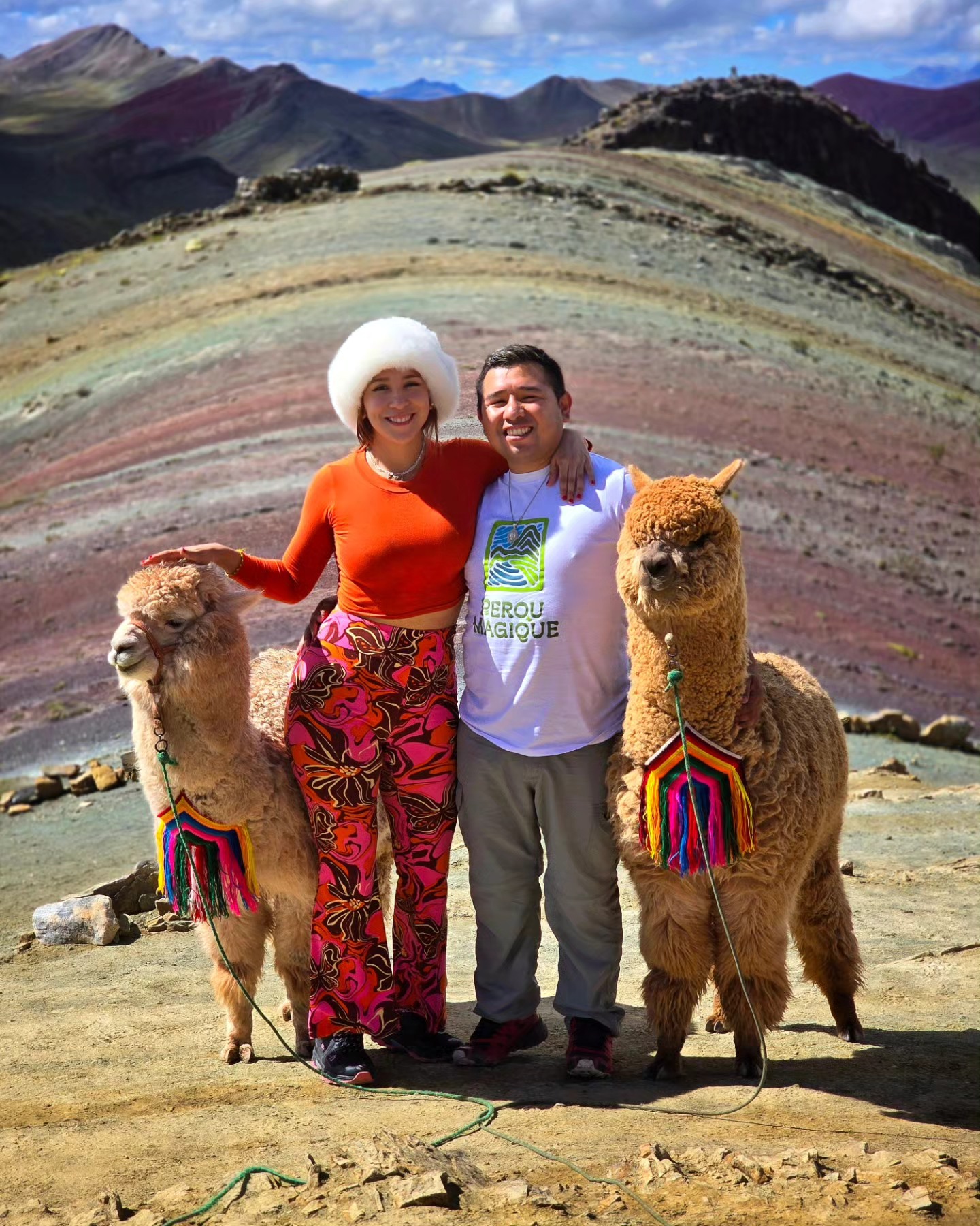 Alpacas with colorful textiles in Palcoyo