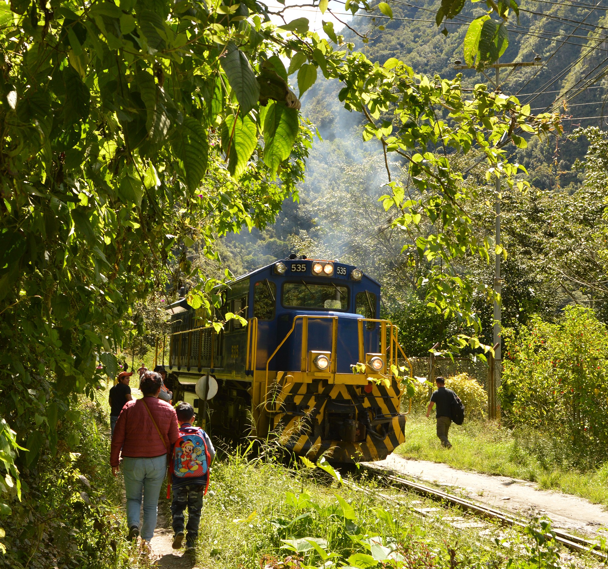 Vías del tren hacia Machu Picchu rodeadas de selva